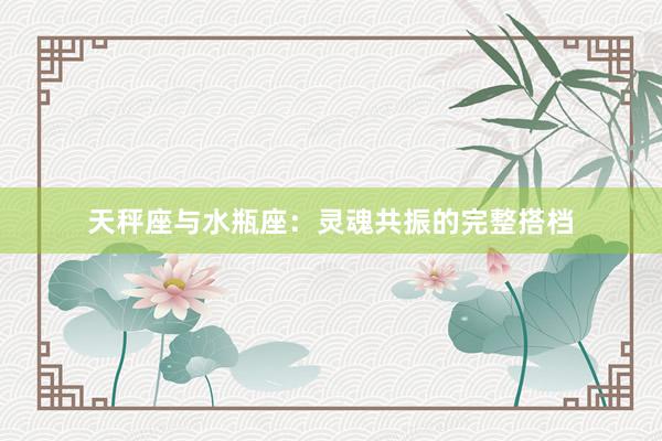 天秤座与水瓶座：灵魂共振的完整搭档