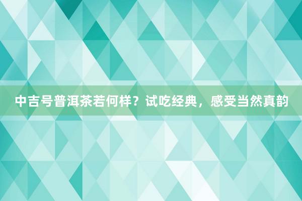 中吉号普洱茶若何样？试吃经典，感受当然真韵